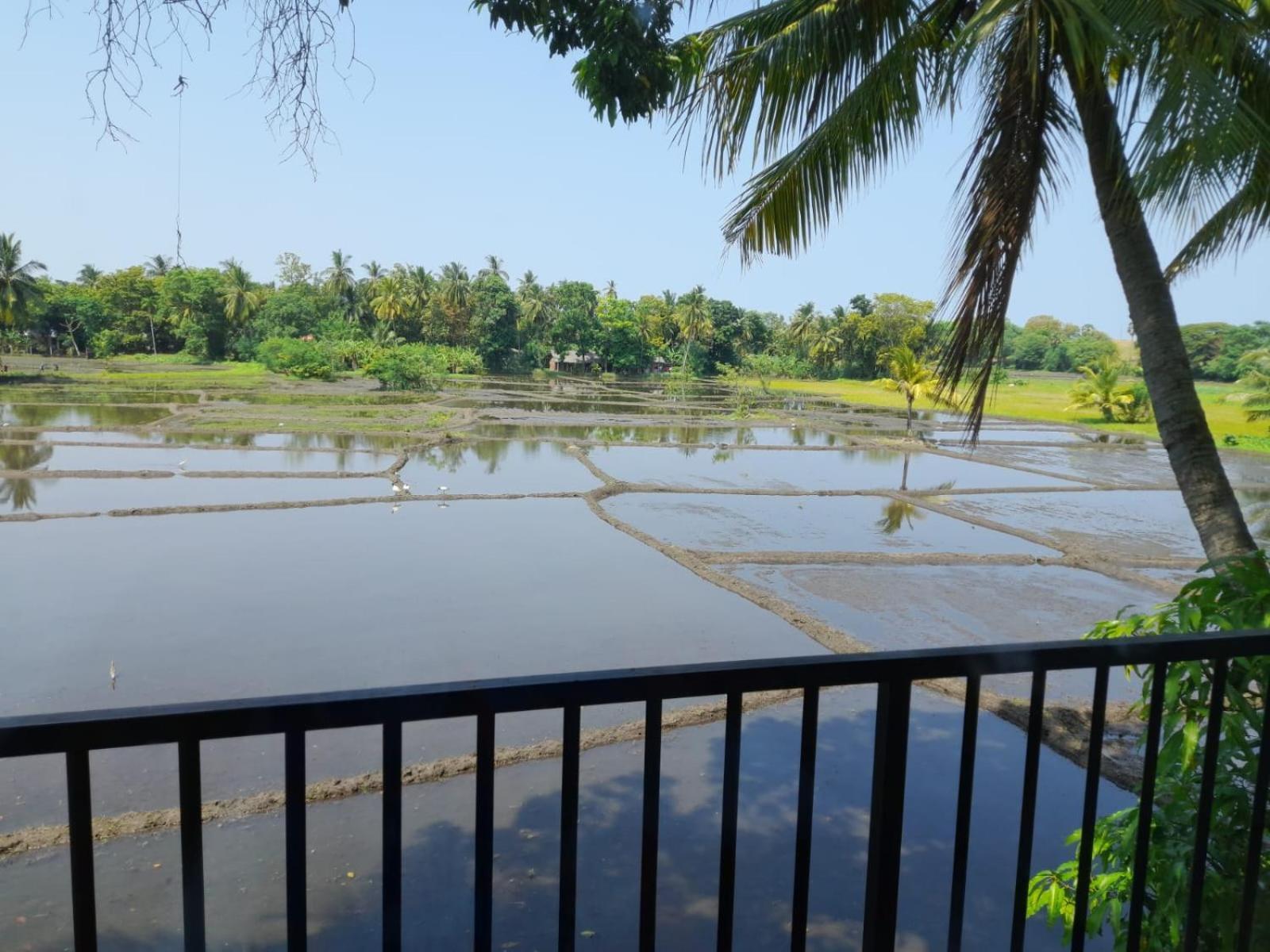 Man Guest Polonnaruwa Hotel ภายนอก รูปภาพ