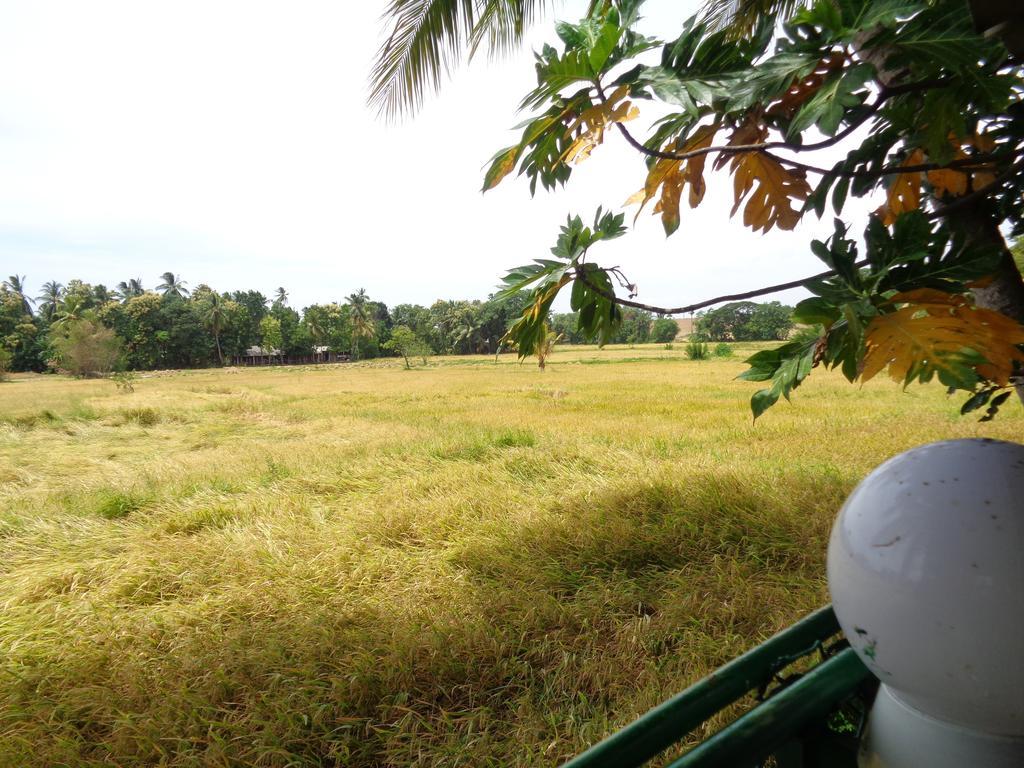 Man Guest Polonnaruwa Hotel ภายนอก รูปภาพ